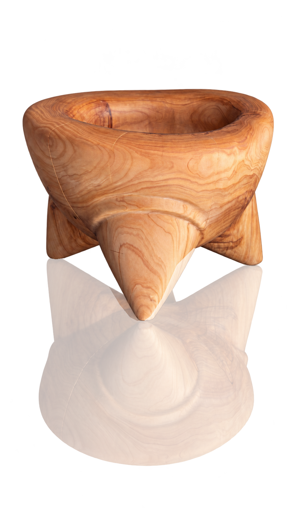 TERVA